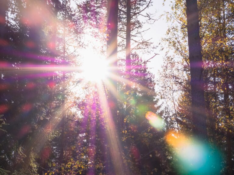 Angels Divine Companions: Angels and Spirit Guides