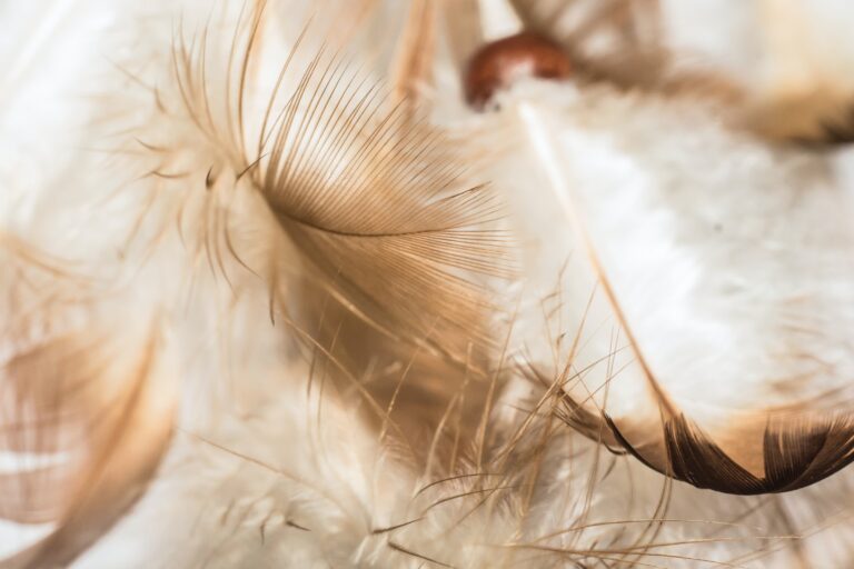 7 Steps to Connect with Your Angel Guides